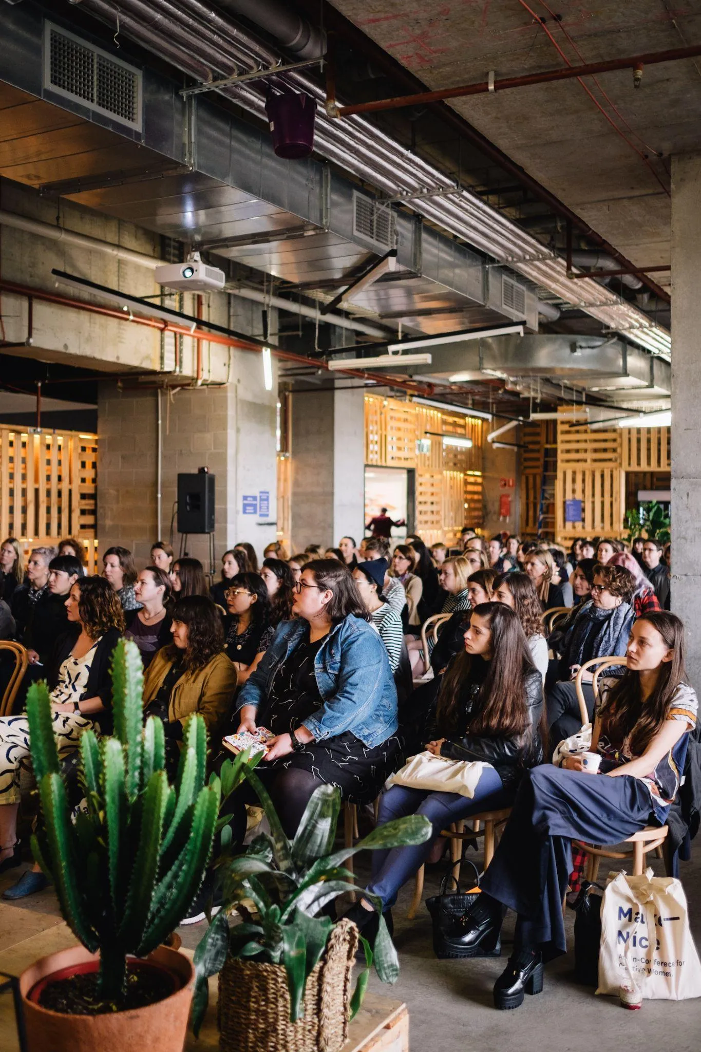 Audience watching stage with cactus plan in foreground in modern, concrete style space